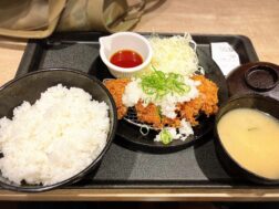 とんかつ松のやの鬼おろしポン酢チキンかつ790円