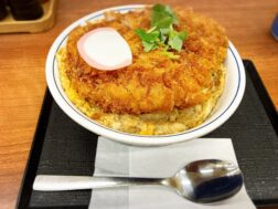 かつやの出汁醤油ロースカツ on the 親子丼（竹）990円